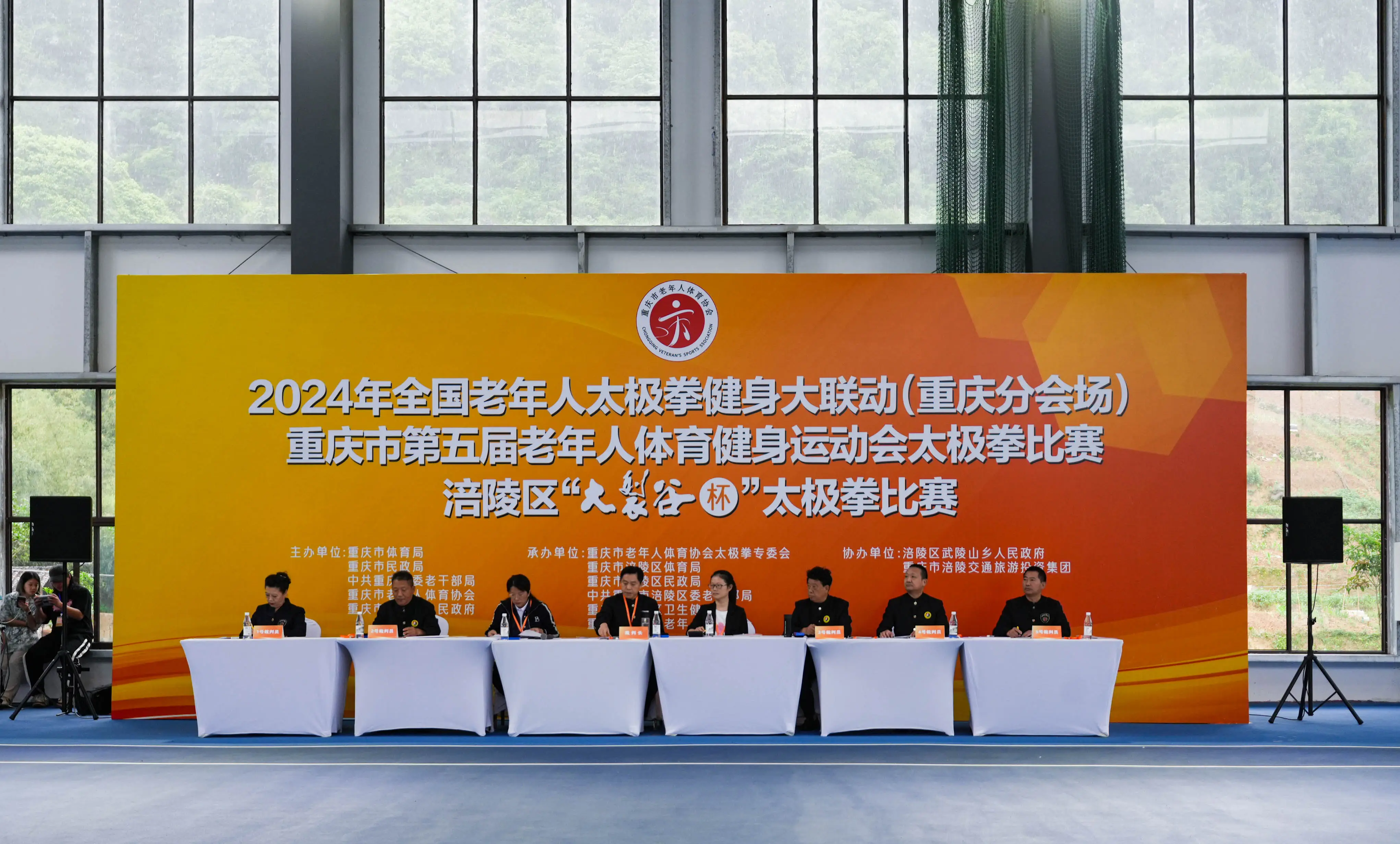 2024 年欧洲杯：足球盛宴与多元文化的交融，续写辉煌历史新篇章